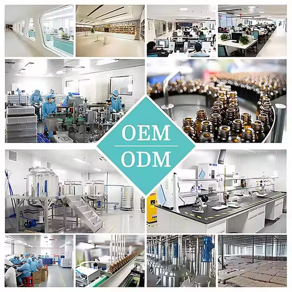 Wholesale Stock Organic Prebiotics Digestive Enzymes Capsules Probiotics Promotes Gut Health Supplement OEM Private Label