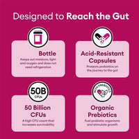 Private Logo Probiotic Prebiotic Capsules Digestive Enzyme Probiotics Supplements for Vaginal Health